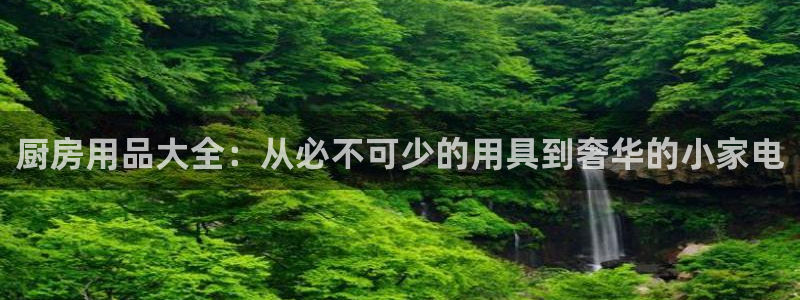 鸿运国际官网最新网站入口网址|厨房用品大全：从必不可少的用具到奢华的小家电