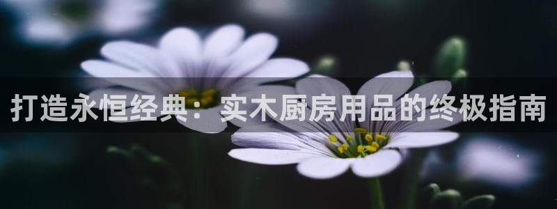 鸿运集团官网首页|打造永恒经典：实木厨房用品的终极指南
