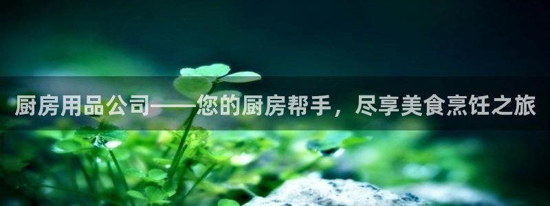 鸿运官方网站登录入口|厨房用品公司——您的厨房帮手，尽享美食