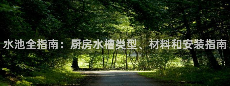 鸿运国际hv32|水池全指南：厨房水槽类型、材料和安装指南