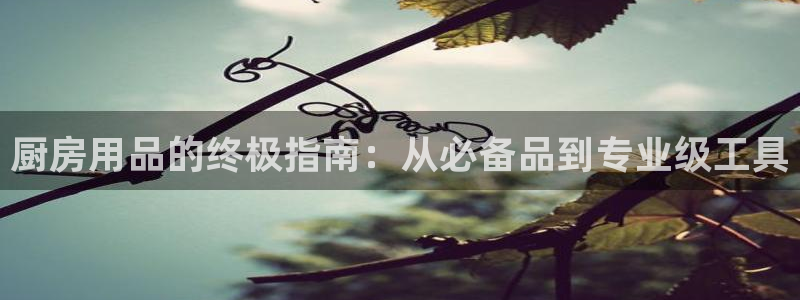 鸿运国际APP官方网站|厨房用品的终极指南：从必备品到专业级工具
